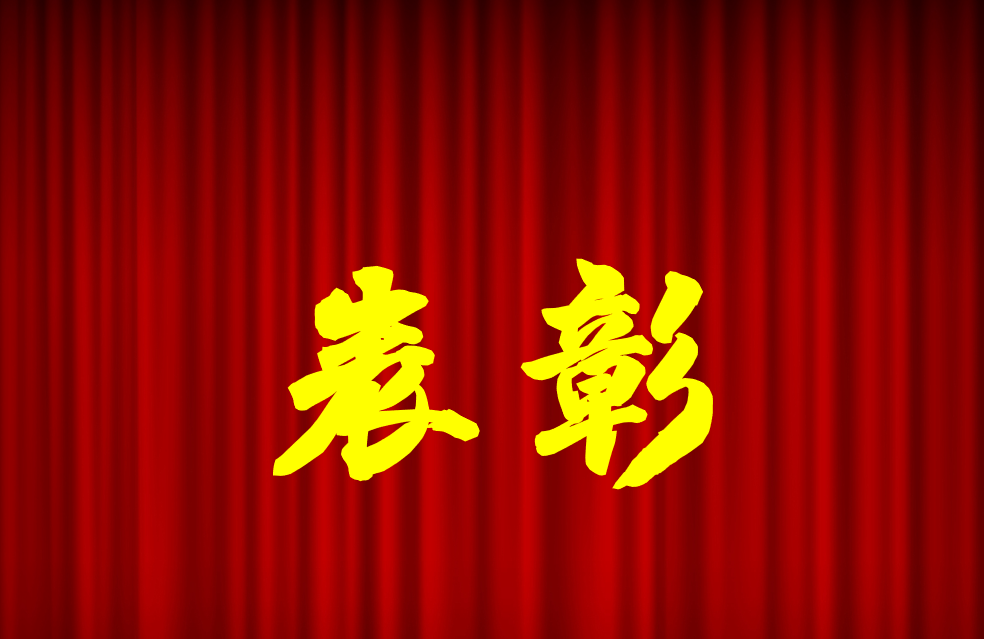 逐光前行、榮耀共鑒 | 公司2024年度表彰來啦！